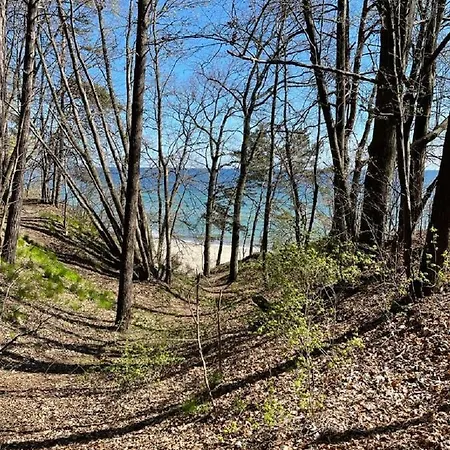 Ovoc Nowe Kolibki * Gdyně