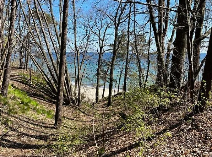 Ovoc Nowe Kolibki * Gdynia